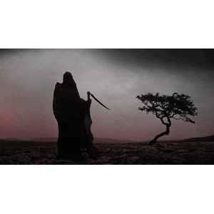 0891FF10-A0BB-4367-80023-95C5D66ADEDE (1) SATURNUS 100X