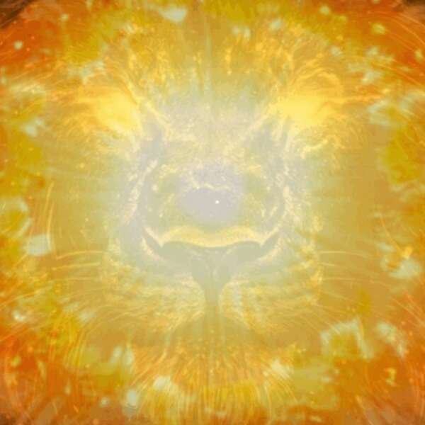 LIONS GATE PORTAL 1000X