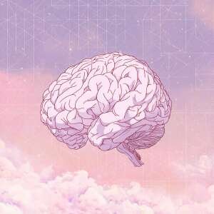 48oktm510j1e7wb02uewent39bg7 Neural Reset