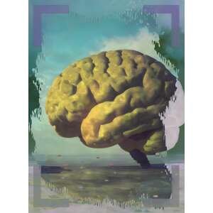 Project Mental Health